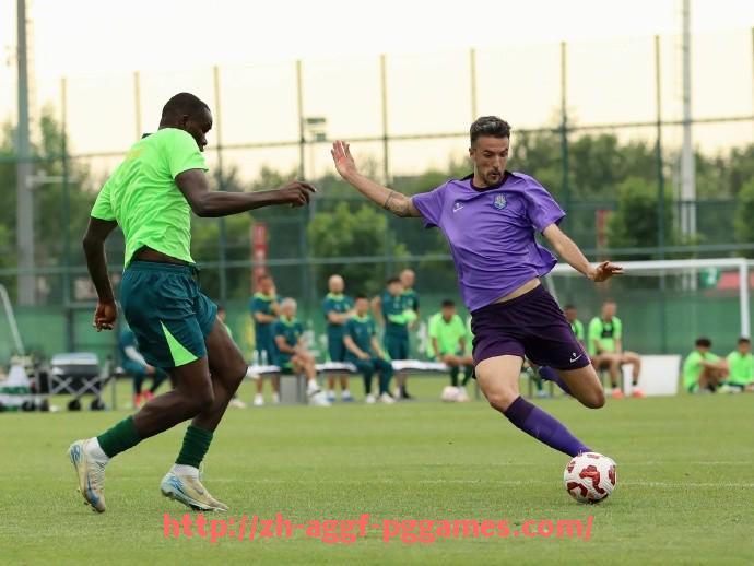 PG模拟器官方网站-德甲球队训练计划安排图曝光,科学化流程详解