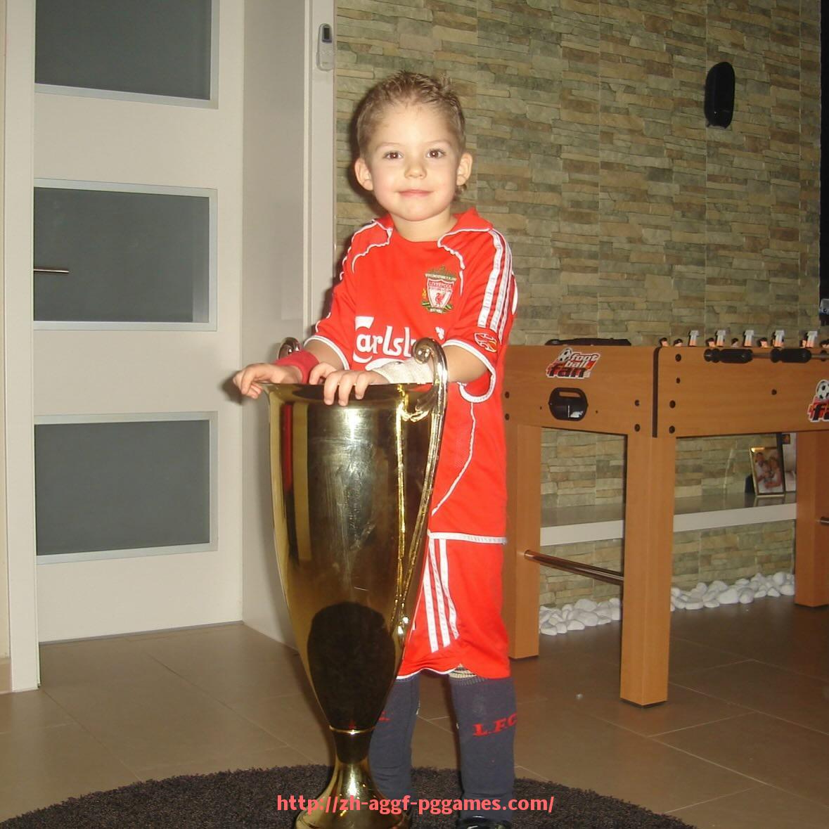 PG模拟器官方网站-最新版意甲球队分布地图及地区代表性解读