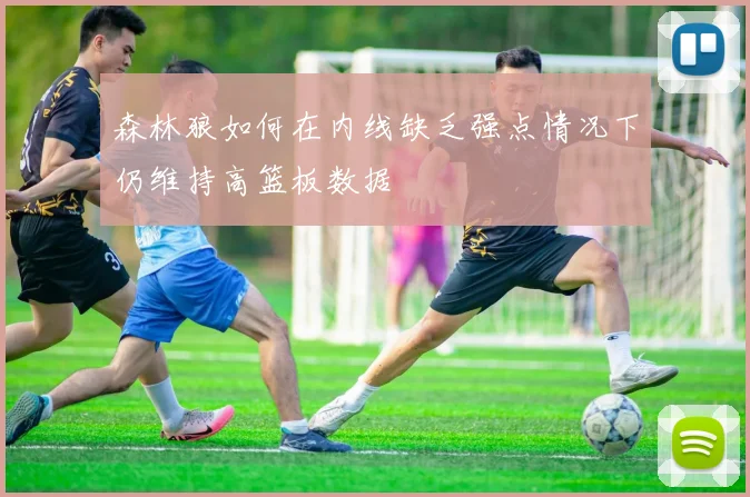 森林狼如何在内线缺乏强点情况下仍维持高篮板数据
