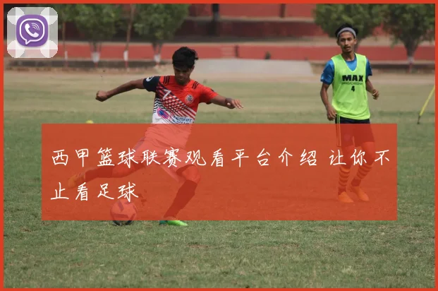 西甲篮球联赛观看平台介绍 让你不止看足球