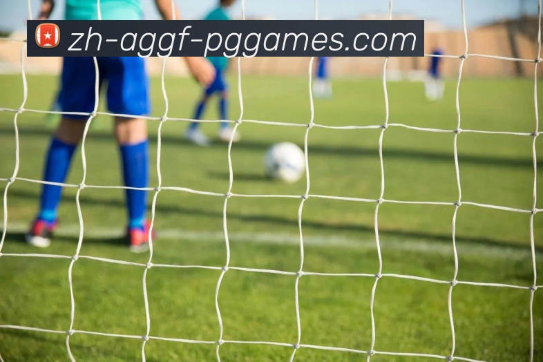 数据防护可视化